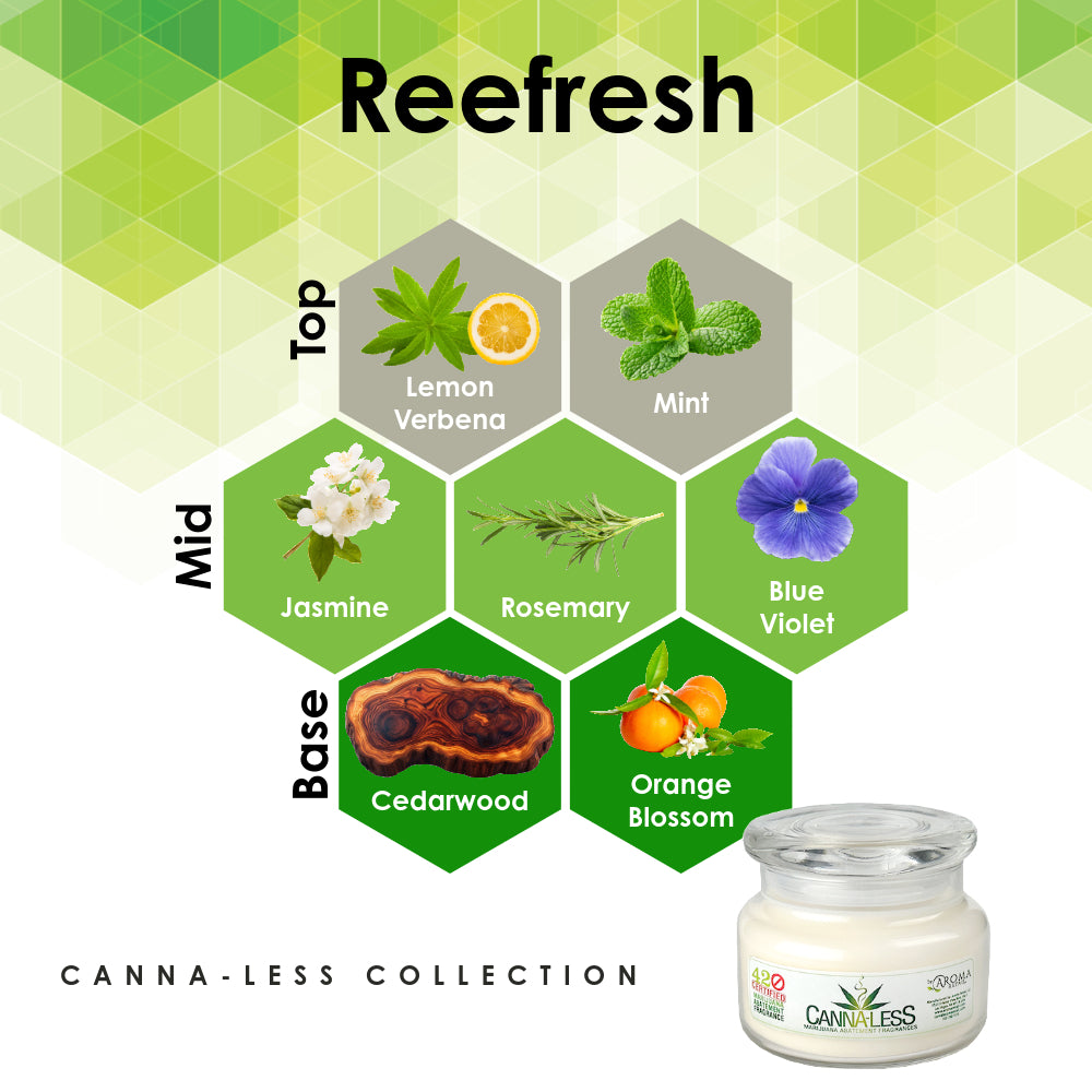 Canna-Less Candle